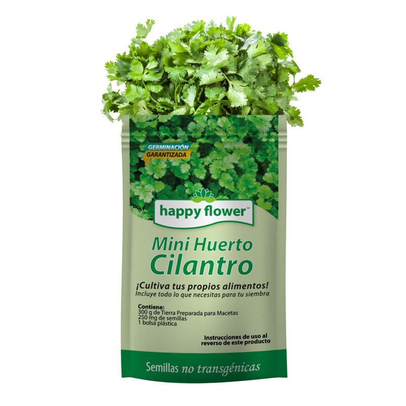 Mini Huerto Cilantro