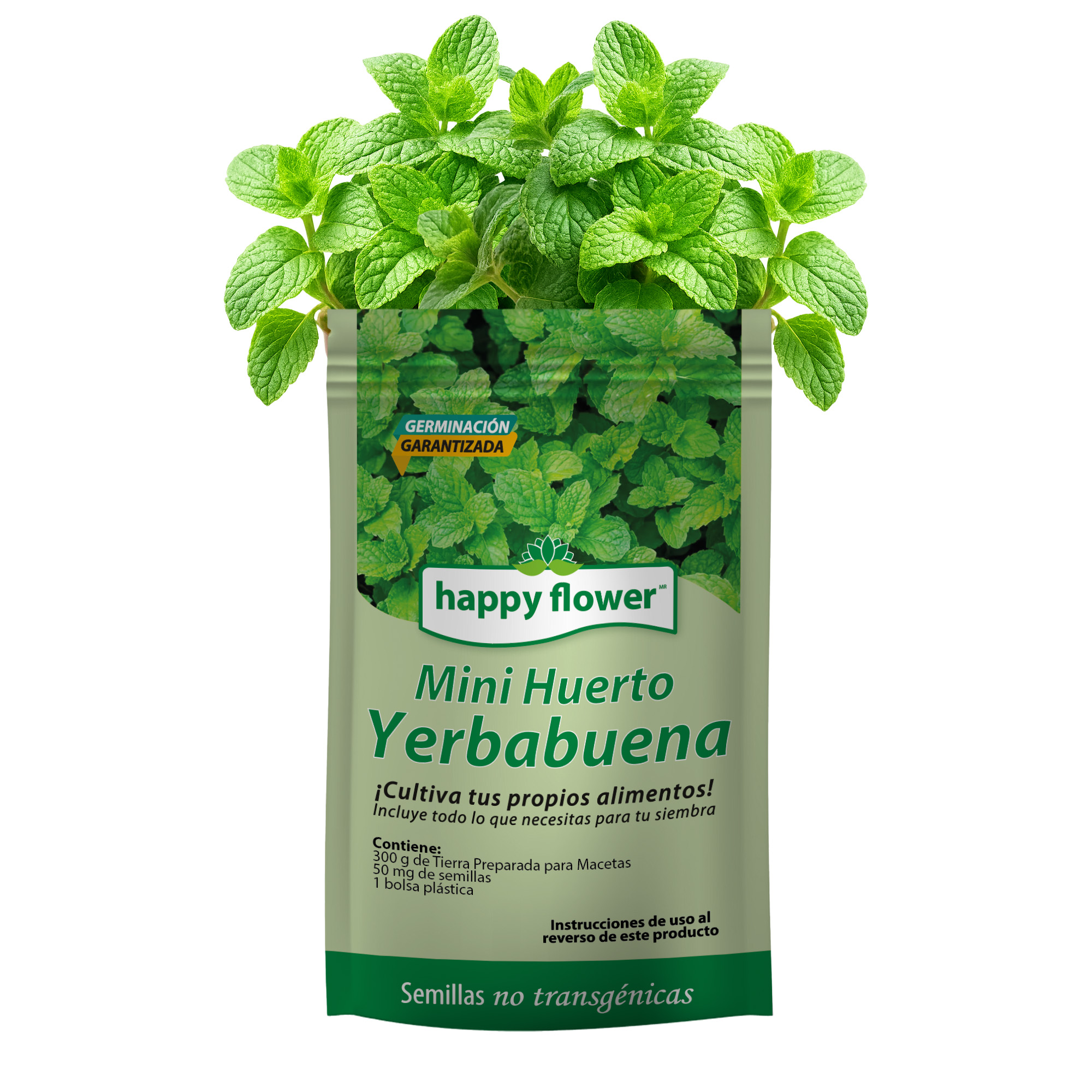 Mini Huerto Yerbabuena